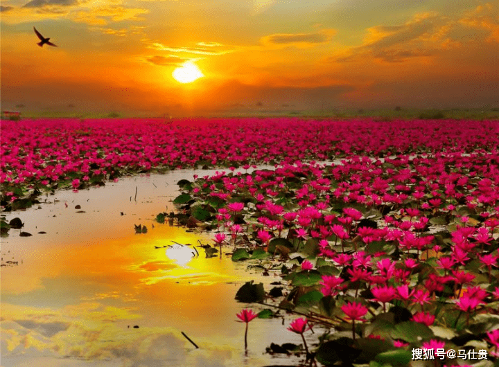 瞻望教学科技繁荣前景(图3)