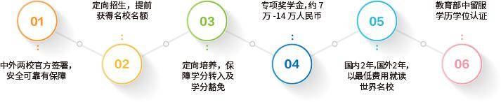 解惑国际本科究竟是不是坑？高中生留学必看指南天博入口(图11)