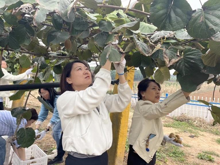 天博平台王思思：留学归来土里掘金(图1)